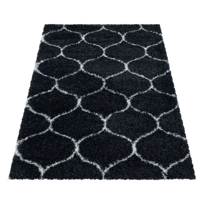 Salsa Shaggy tapis poils longs rectangle 240x340cm anthracite