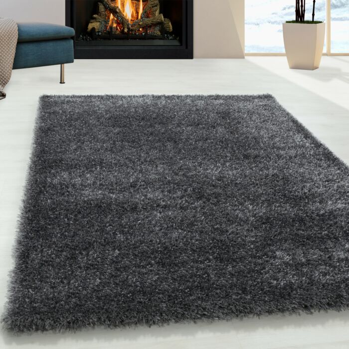 Brilliant Shaggy tapis poils longs rectangle 140x200cm gris